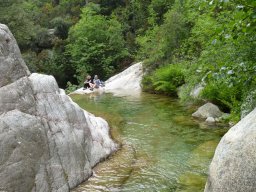 Bild8